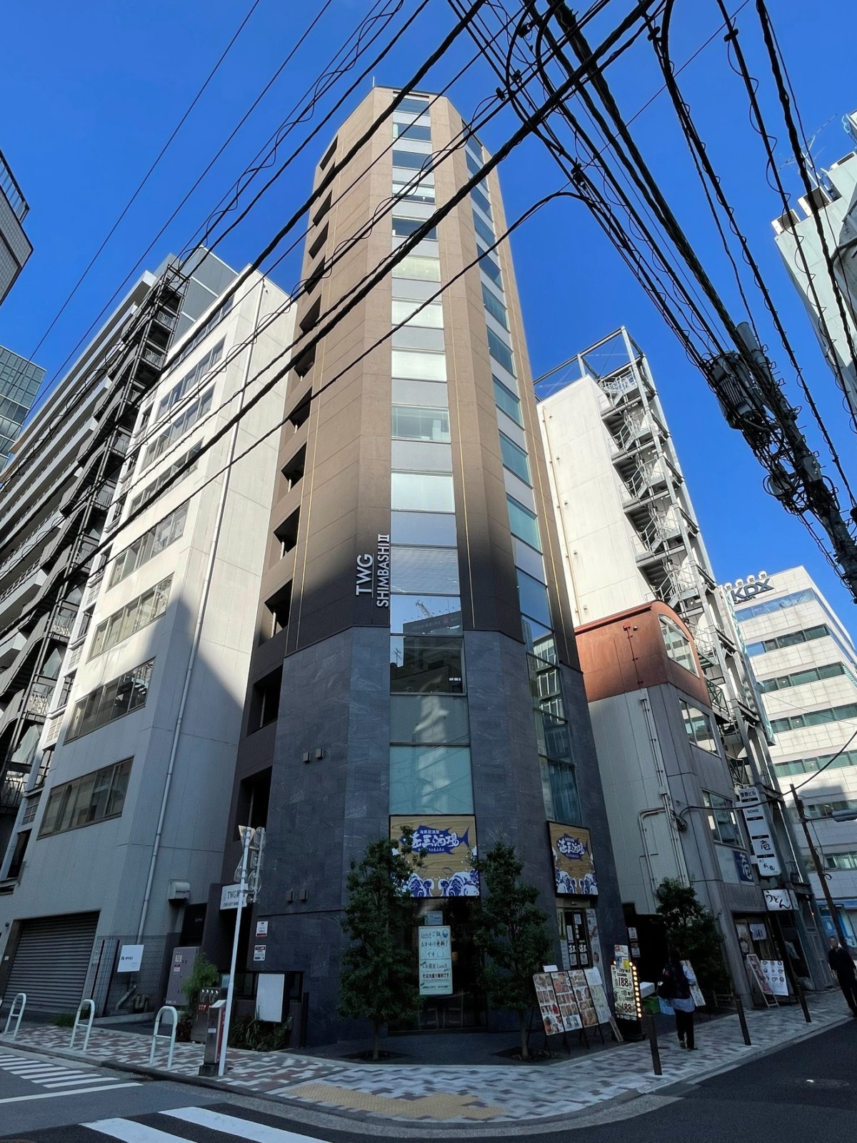 TWG新橋2（THE V-CITY新橋）の物件画像