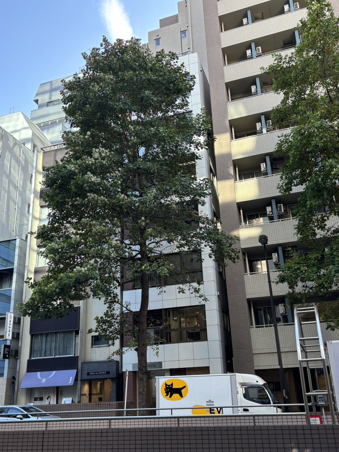 DJ銀座の物件画像
